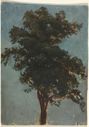 Fatanulmány, 1800-as évek második harmada.