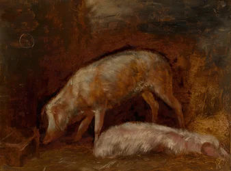Sertéstanulmány, 185060.