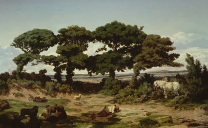 Kertregonnec tölgyei, 1869-70 körül