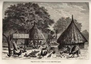 Diour falu télen (Szudán) és a lakosok mindennapi tevékenysége a közösség által nevelt állatok között, metszet A. de Bar rajza után, az 1868-1871-es Afrika szívébe tett utazást illusztrálva, Dr. Georges Schweinfurt rajzolta
