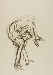 Contortionist