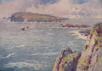 Az ember borja, 1910