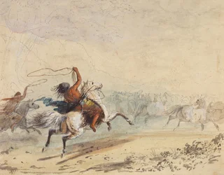 Lasszózó vadlovak, 1837 körül (ceruza, toll, tus, akvarell és gouache papíron)