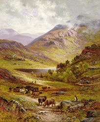 Longhorn szarvasmarha hegyvidéki tájon