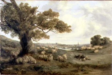 Norwich látképe