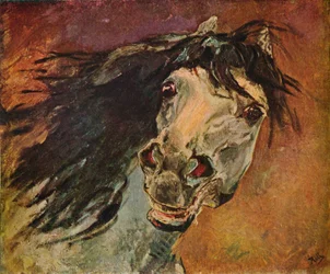 Andalúz lófej, c1910
