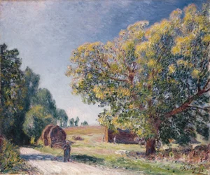 Tisztás az erdőben, 1895