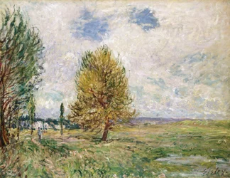 Veneux-Nadon síksága, 1881