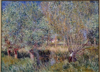 Fűzfák az Orvanne folyó partján. Alfred Sisley festménye (1839-1899)