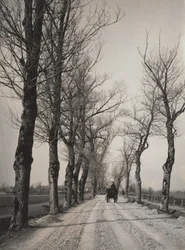 Novemberi napok