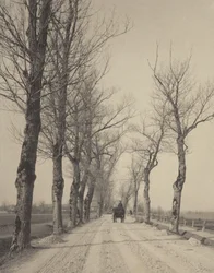 Novemberi napok