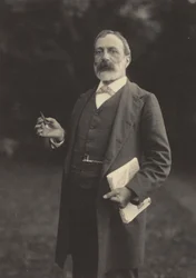 Werner professzor