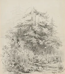 Indian Burial Place, Oregon, 1841 (grafit két varrott vázlatfüzet lapon, krémszínű szőtt papíron)