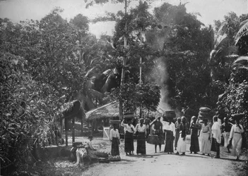 Egy dzsungel falu, 1890, 1910