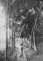 Hajnal a tenyereken keresztül, c1890, 1910