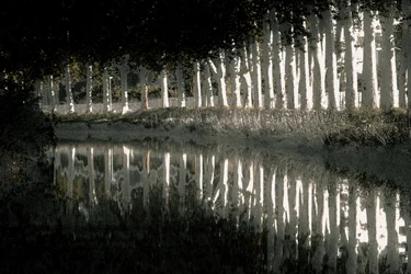 Rendering, 2018 (kézzel átfestett fotó)