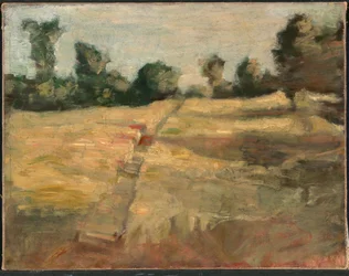 A mező, kb. 1892.