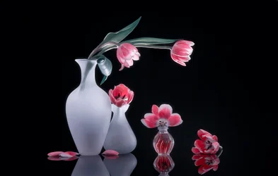Csendélet rózsaszín tulipánokkal