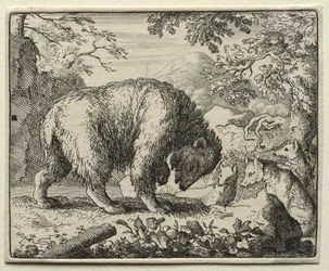 Reynard, a róka: Reynard mézet ígér a medvének