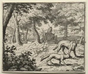 Reynard, a róka: Reynard borzok védelme.