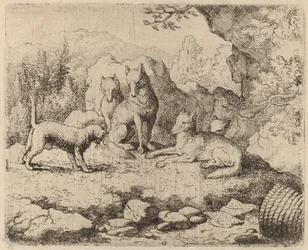 A hírvivőként küldött macska, valószínűleg c. 16451656.