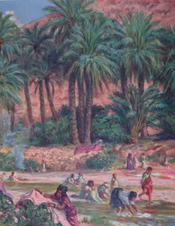 Palmbäume. Die Palme wurde vom Propheten Mohammed im Koran gesegnet.  Farbige Lithographie, 1918.