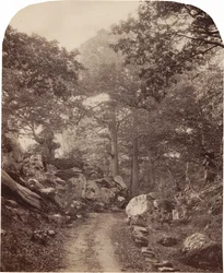 Fontainebleau,1860-as évek (fotó)