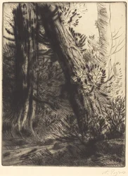 Egy patak széle (Bord de ruisseau)