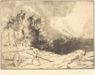 Erdő széle Bourgogne-ban Un coin de foret en Bourgogne.