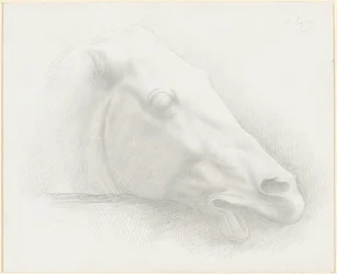 Egy ló feje a Parthenonból, 1898.