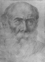 Férfi feje (aranypont papíron)