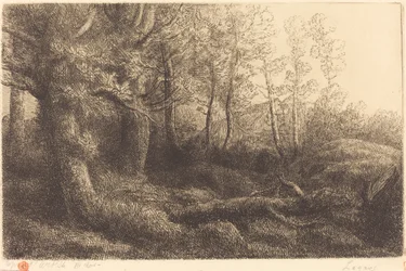 Az erdőben (Lisiere de foret)