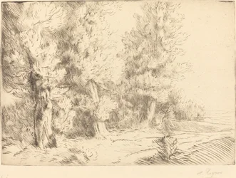 A fontainebleau-i erdőben Dans la foret de Fontainebleau.