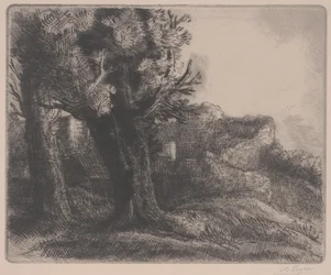 A romokban, 19. század közepe-XX. század eleje