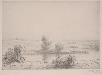 A mocsarak (rézkarc)