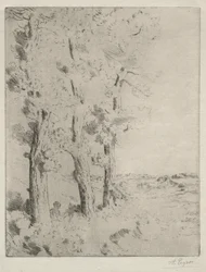 Az olvasó: Az előadás a fák alatt c. 1882.