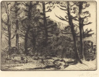 Woods in Winter Sun, 2. lemez Winter Sun in the Woods.