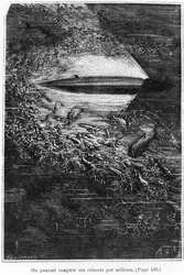Illusztráció Jules Verne (1828-1905) „20 000 liga a tenger alatt” című művéből, Henri Theophile Hildibrand (1824-97) metszetében, 1877