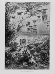 Illusztráció Jules Verne (1828-1905) „Nemo kapitány” című művéből, Henri Théophile Hildibrand (1824-97) metszete, kb. 1869-70