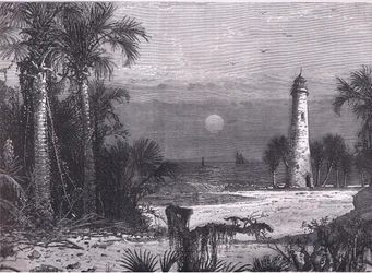 Kilátás Florida partjára, illusztráció a Cassells History of the Egyesült Államokból, kiadó: Cassell, Petter & Galpin, 1900 körül (litho)