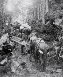 A Dyea-ösvény megmászása a Chilkoot-hágó felé vezető úton a Klondike-i aranyláz idején (1897-98) (f/w fotó)