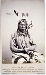 NE-BAH-QUAH-OM, Big Dog, Chippewa főnök, felajánlotta, hogy harcol a sziúkkal Minnesotában
