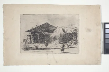 Barnyard (tinta)