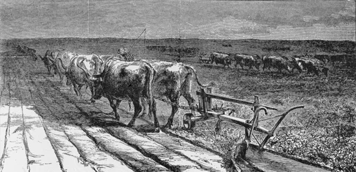 Breaking the Prairie, illusztráció a „Harper