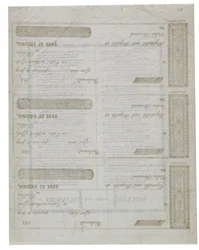 Dixie egy csekk hátoldalára nyomtatva, 1861