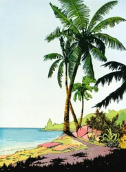 A Beach Paradise pálmafákkal illusztrációja