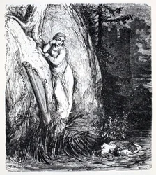 Vízi tündérek, Thomas Keightley (1789-1872) Világkalauz gnómokhoz, tündérekhez, elfekhez és más apró lényekhez című könyvéből, megjelent 1880-ban