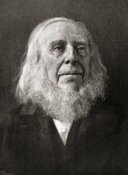 Peter Cooper, a „The Century Illustrated Monthly Magazine”-ból, 1884-ben (fametszet)