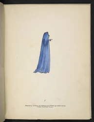 7. tábla. Egy szellem kékben.  Spectropia; vagy Meglepő spektrális illúziók, amelyek mindenhol szellemeket mutatnak, bármilyen színben stb. ser. 1.  J.H. Barna  1864