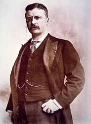Theodore Roosevelt elnök (litho)